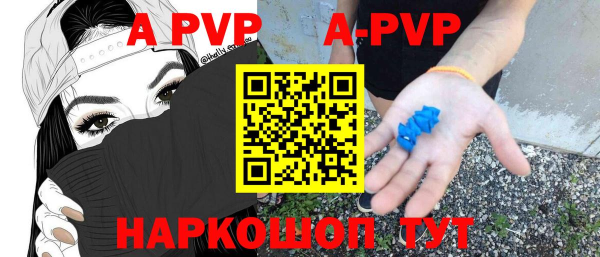 Альфа ПВП СК КРИС Грозный
