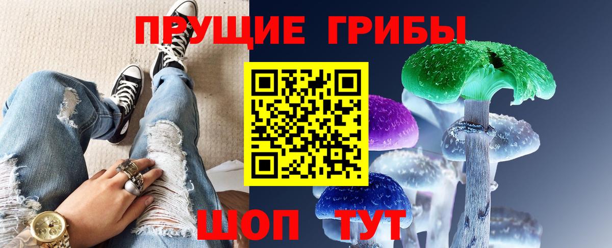 Грозный  Галлюциногенные грибы Cubensis  Вход с VPN  Галлюциногенные грибы прущие грибы 