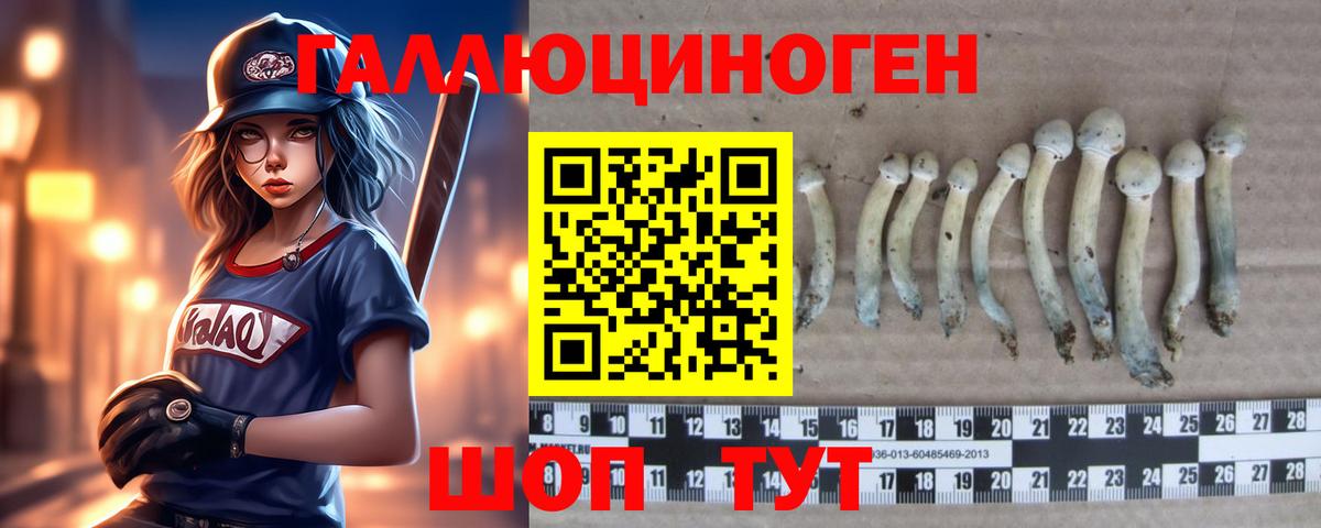 Псилоцибиновые грибы прущие грибы Грозный